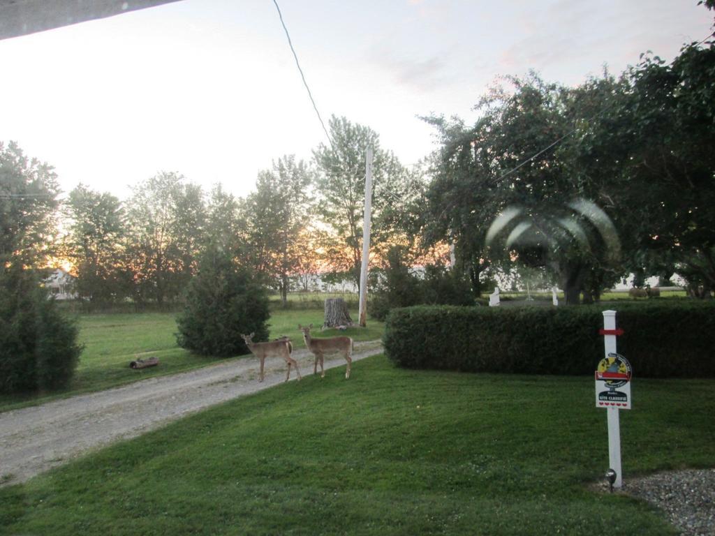 Gite Les Acres Tranquilles B&B Port-Daniel Екстериор снимка