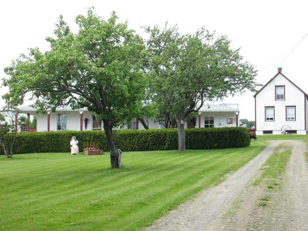 Gite Les Acres Tranquilles B&B Port-Daniel Екстериор снимка